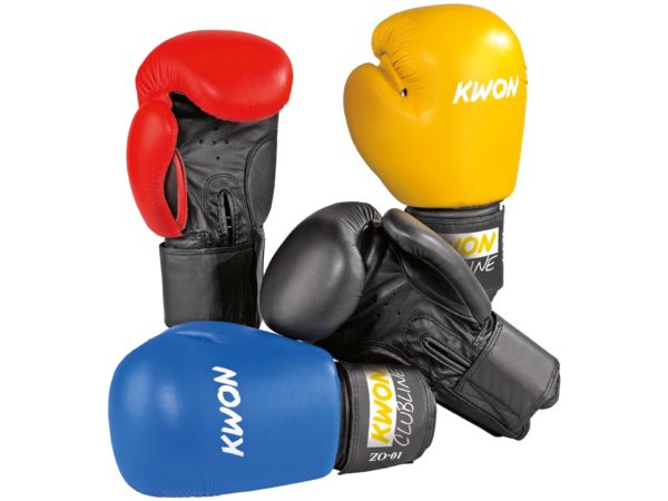 KWON Boxhandschuhe Pointer II